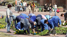 Площадь цветников в Нижнем Новгороде увеличат в три раза