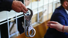 Раскрываемость преступлений в Нижнем Новгороде составила 44,5%