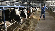 Производство молока и мяса растет в Нижегородской области