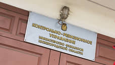 Нижегородский прокурор не смог отсудить имущество у экс-ревизора минфина