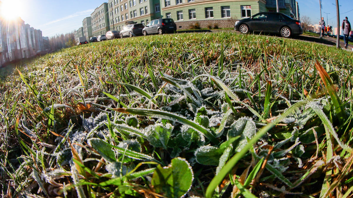 МЧС предупредило нижегородцев о заморозках на почве до -3°С