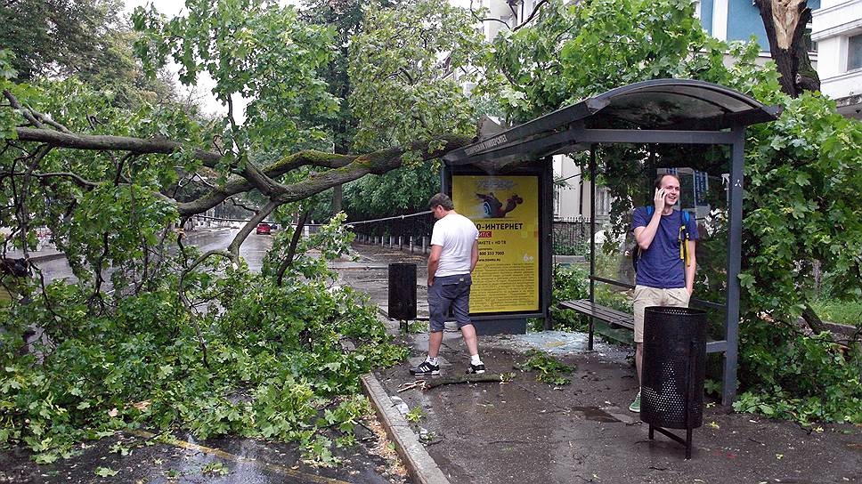 Зато нижегородские остановки могут защитить от падающих в непогоду деревьев