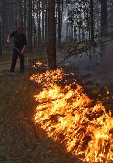 Лесной пожар в Верхней Верее
