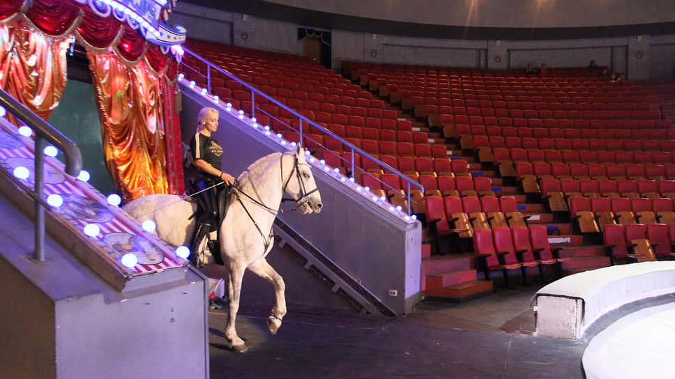 Диаметр цирковой арены во всем мире соответствует стандарту и составляет 13 метров, чтобы лошадям было проще ориентироваться во время представления. Именно поэтому кафе нижегородского цирка носит название &quot;13 метров&quot;