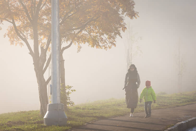 Наверное, туманное утро кажется сказочным не только детям
