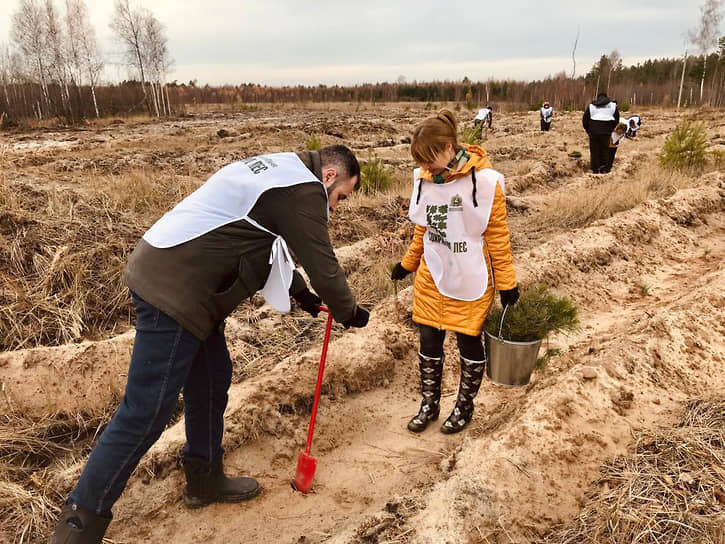Нижегородская область приняла участие в акции «Сохраним лес». В 2021 году 2 тыс. добровольцев высадили в регионе более 2,6 млн саженцев хвойных деревьев