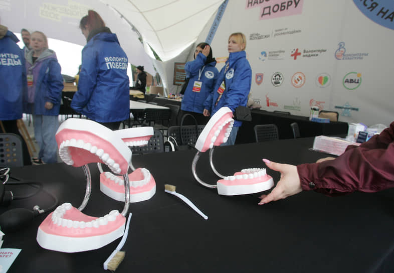 Волонтеры раскладывают макеты человеческой челюсти