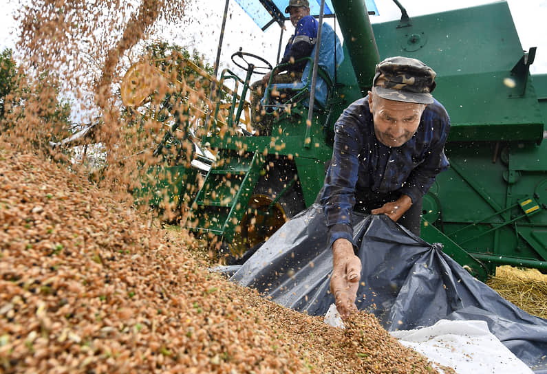 Нижегородские аграрии собрали в этом году рекордный урожай зерна