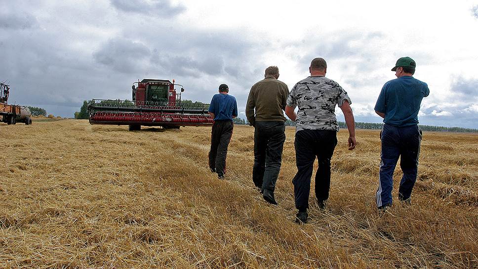 Какая ситуация с зерном была в Новосибирской и Омской областях