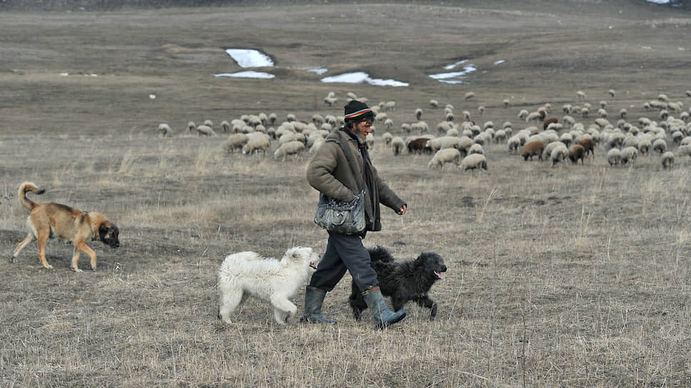 Жители Республики Алтай хотят самостоятельно избирать глав сельских районов, уверены инициаторы возвращения прямых выборов