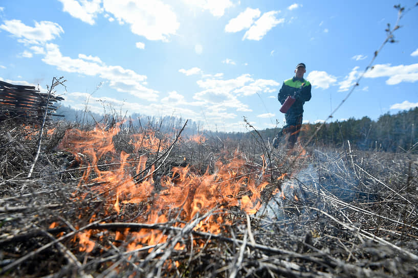 В этом году в Сибири площади пожаров превышают многолетние значения, считают эксперты