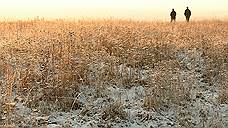 Красноярские аграрии получат более 500 млн рублей компенсаций из-за снегопадов