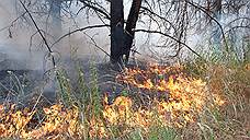В Кузбассе оштрафовано 36 нарушителей особого противопожарного режима