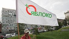 «Яблоко» устроит в Новосибирске пикет против отказа от публичных слушаний