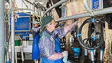 ФАС нашла ценовой сговор на молочном рынке Алтая