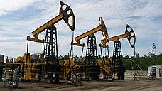 Нефтяной участок в Томской области выставили на аукцион за 210 млн рублей