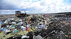 «Экология-Новосибирск» стала «мусорным» регоператором