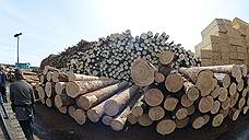 Более 400 тысяч кубометров алтайского леса вывезли за границу