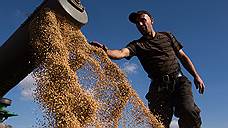 Красноярским мукомолам продадут зерно из интервенционного фонда для снижения цен на хлеб