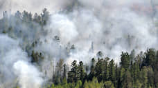 Площадь лесных пожаров в Сибири превысила 1,4 млн га