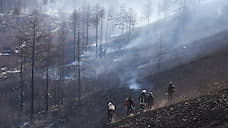 Площадь лесных пожаров в Сибири продолжает расти