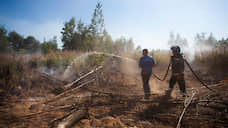 В Новосибирской области горят 6 тысяч гектаров леса