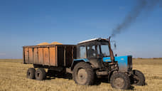 В Новосибирской области зафиксирован профицит зерна
