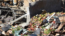 На Алтае уничтожили 20 тонн санкционных яблок из Евросоюза