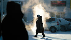 Тридцатиградусные морозы придут в Новосибирск перед Новым годом
