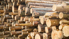 Экспорт сибирского леса впервые сократился с 2016 года