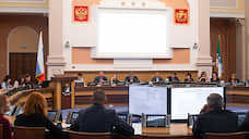 Горсовет Новосибирска отменил партсписки на выборах