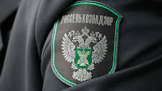 В Иркутске замначальника управления Россельхознадзора арестовали за взятку