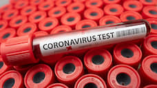 В Новосибирской области семь детей ожидают анализов на коронавирус