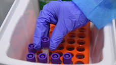 В Новосибирске увеличилось число лабораторий для исследований на коронавирус