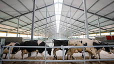 «Горкунов» инвестирует в мясное животноводство Новосибирской области 30 млрд рублей