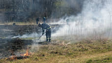 В Красноярском крае перед судом предстанет поджигатель леса