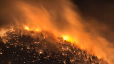 Красноярские власти прокомментировали фотоснимки горящей тайги, опубликованные Greenpeace