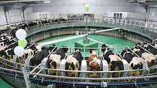 «Эконива» запустит животноводческий комплекс на Алтае за 3,2 млрд рублей к концу 2020 года