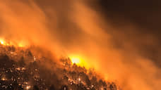 В Красноярском крае увеличилась площадь лесных пожаров