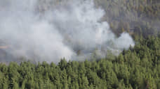 В Алтайском крае объявили штормовое предупреждение из-за пожароопасности
