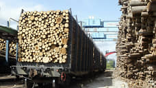 В Томске возбуждено дело о контрабанде в Китай 28 вагонов с древесиной