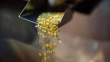 В Кемеровской области золотодобытчиков за год оштрафовали на 2,8 млн рублей