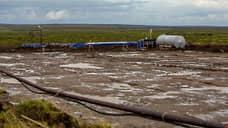 «Восток ойл» получит лицензию на два участка нефти и газа на Таймыре за 211 млн рублей