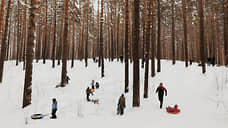В Новосибирской области узаконили лесные парки