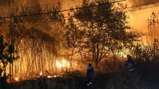 Greenpeace посчитал площадь ландшафтных пожаров в России за 2020 год