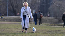 Прокуратура потребовала от мэрии Новосибирска определить места для выгула собак