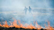 В Новосибирской области ситуация с природными пожарами остается напряженной