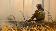 В Красноярском крае площадь лесных пожаров увеличилась в семь раз
