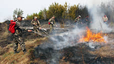 МЧС: на севере Красноярского края прогнозируется высокая пожарная опасность