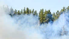 В Красноярском крае горит лес на площади 1,8 тыс гектаров